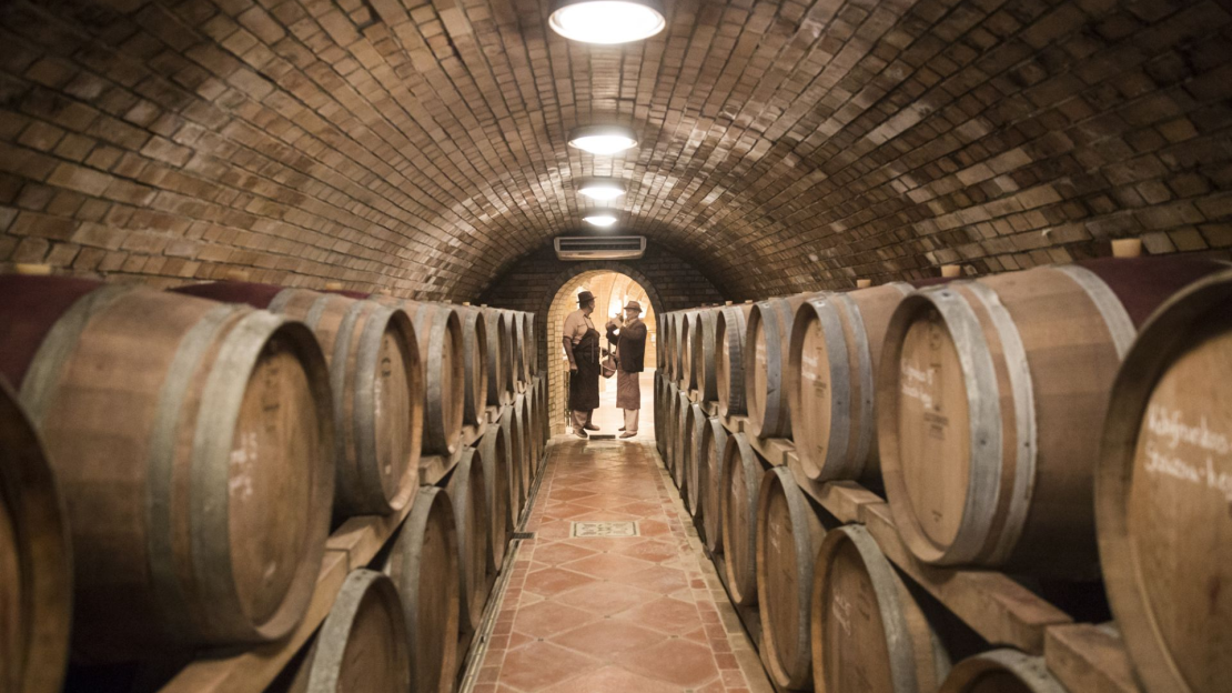 339c36936f21dbc9b8e2b3fa2da4db614eca4ffd_normal