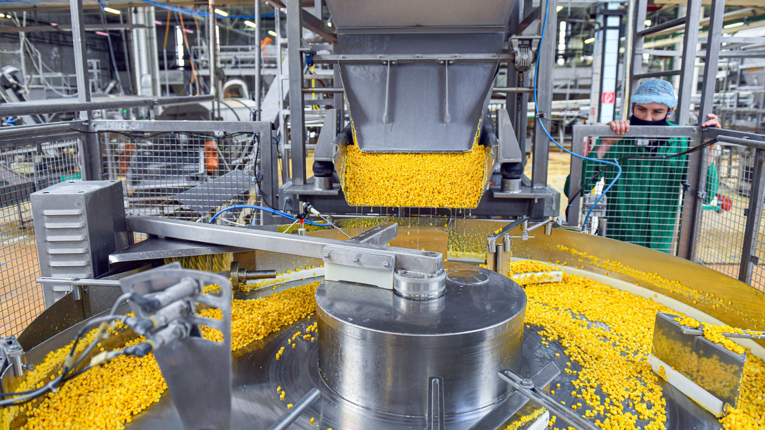 4022257csemegekukoricaOlahTiborMTI