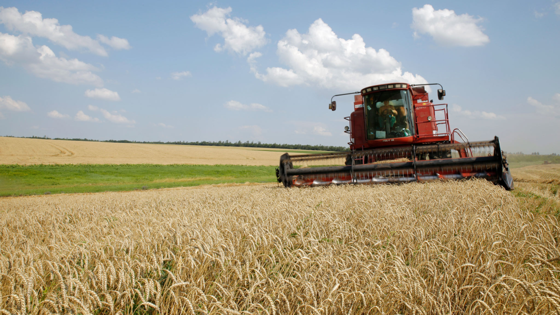 e17fbc69-35c3-44fb-b1d7-d1571a6a87f4